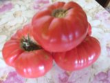 IMG_20150804_123216.jpg