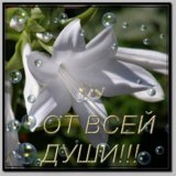 101656584_Ot_vsey_dushi_Lilii.jpg