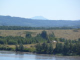 SAM_0866.JPG