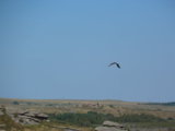 SAM_0869.JPG