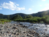 SAM_0916.JPG