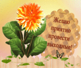 выхи3.gif