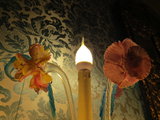 IMG_4461.JPG