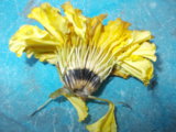 004.JPG