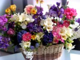 Holidays___International_Womens_Day_Beautiful_bouquet_in_a_basket_on_March_8_057122_29.jpg