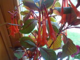DSC01387.JPG