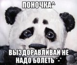 panda_48278780_orig_.jpeg