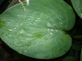 IMGP8941.JPG