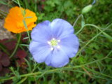 IMGP8944.JPG