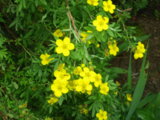 IMGP8956.JPG