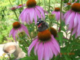 DSCN6080.JPG