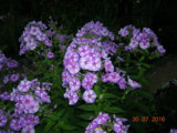 DSCN6087.JPG
