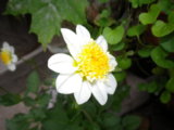 IMGP9234.JPG