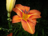 IMGP9249.JPG