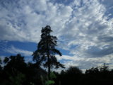 IMGP9272.JPG