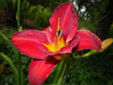 IMGP5695.JPG