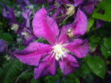 IMGP9794.JPG