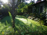 IMGP9805.JPG