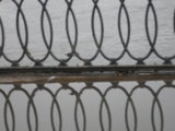 IMGP0188.JPG