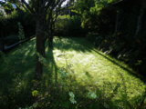 IMGP0234.JPG