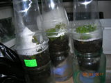 DSCN6649.JPG