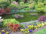 Add-Colour-and-Life-to-Your-Garden-Install-a-Pond-1.jpg