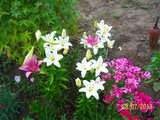 100_8772.JPG