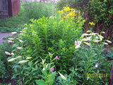 100_8839.JPG