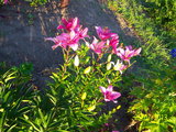 100_8582.JPG