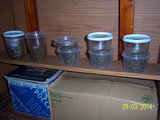 100_3032.JPG