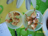 100_3261.JPG
