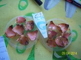 100_3263.JPG