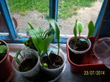 100_8564.JPG