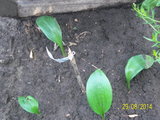100_9831.JPG