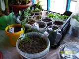 100_5257.JPG