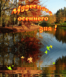 image (25).gif