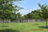 DSC_4224.JPG