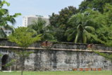 DSC_4225.JPG