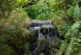 DSC_4486.JPG