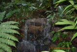 DSC_4500.JPG