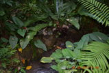 DSC_4502.JPG