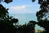 DSC_4447.JPG