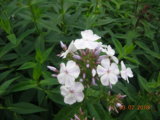 DSCN7789.JPG