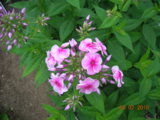 DSCN7790.JPG