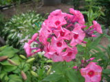 DSCN7791.JPG