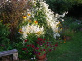 IMGP0288.JPG