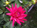 IMGP0151.JPG