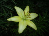 IMGP0193.JPG