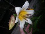 IMGP0214.JPG