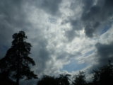 IMGP0184.JPG